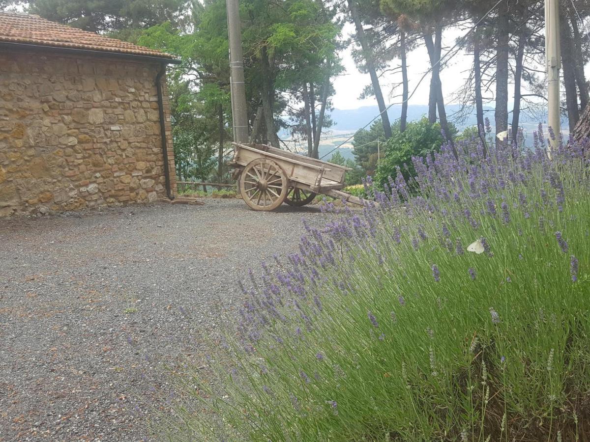 Casa Vacanze "L'Aione" 감바시 외부 사진